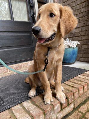 Who’s Walkin’ Who