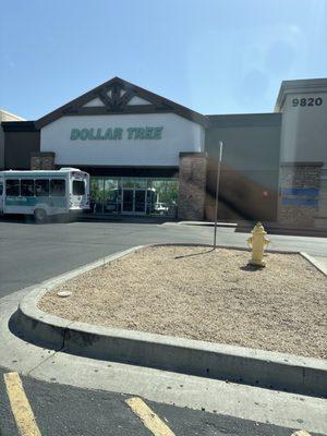 Dollar tree