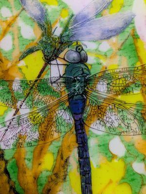 Asheville Horizon Glass