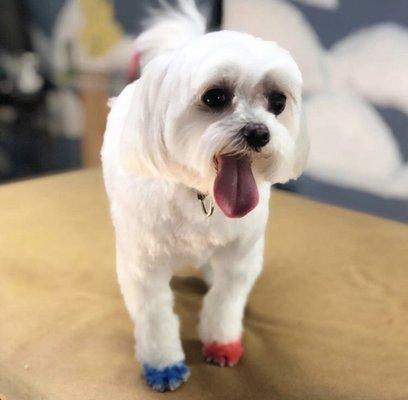 We LOVVEEE being creative!