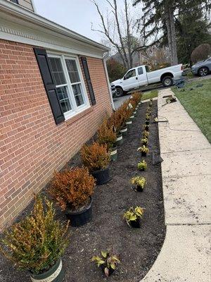 Gardens & Trees Landscaping