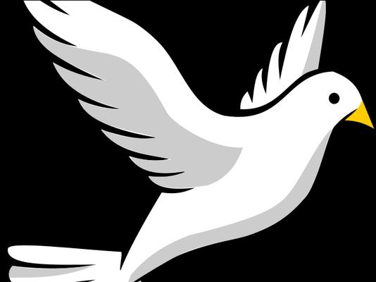 Trust Fuentes Cleaning Services