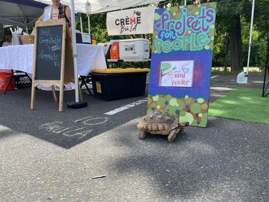 Tortilla the Tortoise in between the crème brûlée and art booths