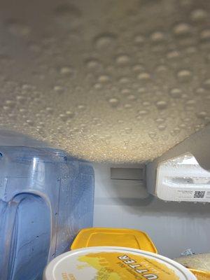 Condensation on roof on our brand new refrigerator