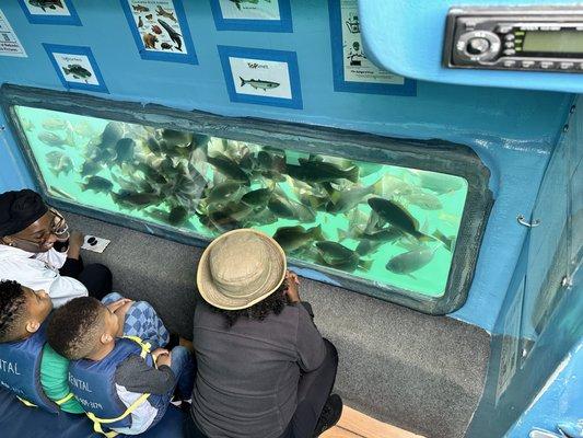 Family enjoying a variety of fish in underwater viewing room.