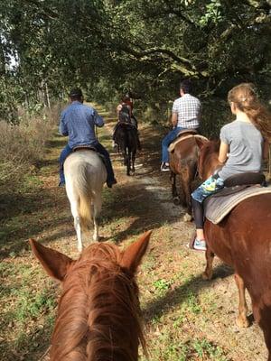 Rockin N Stables