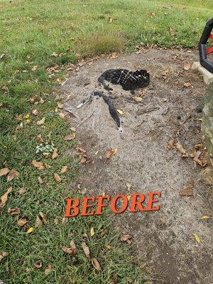 Kirkendall Xtreme Stump