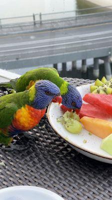 Amazing Earth Adventures