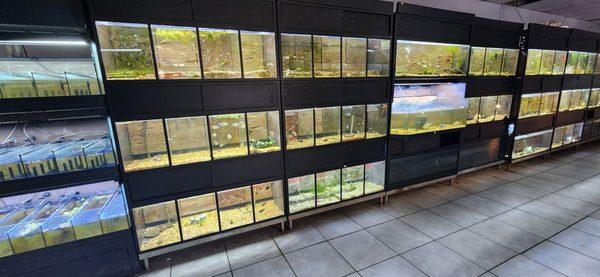 Worldwide Fish and Pets