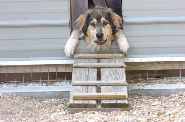 Covington Acres Bed & Biscuit