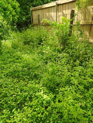 Big Boys Landscaping