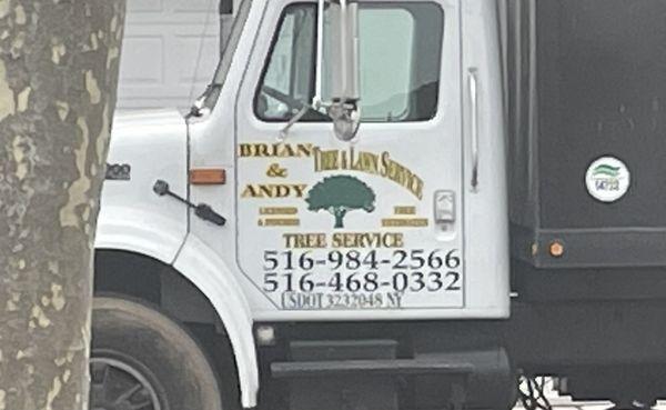 Brian & Andy Tree Service