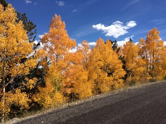 I stayed at Reita & Chuck's wonderful, cozy cabin for 4 quiet, beautiful nights! Only 5.5 miles away from gorgeous GBNP hiking!