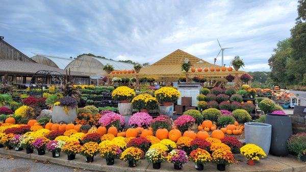 Hyannis Country Garden