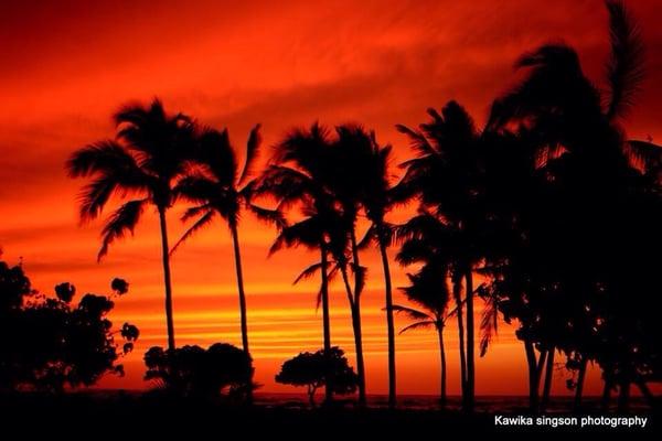 Premier Island Properties