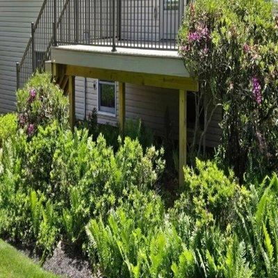 Kingdom Custom Decks