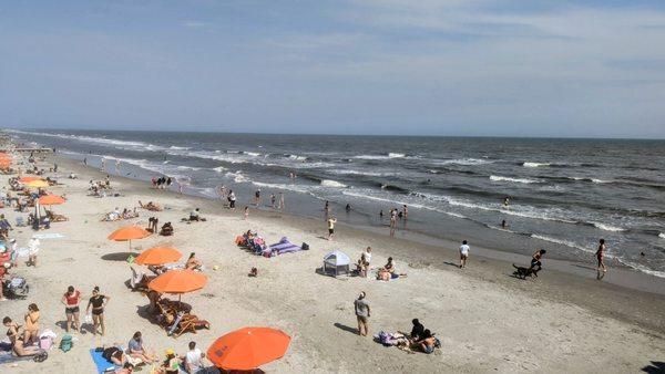 City of Folly Beach