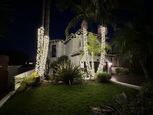 South Bay Window Cleaning