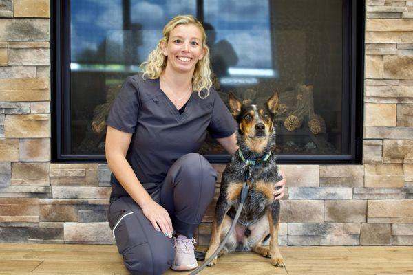 Greenville Animal Hospital