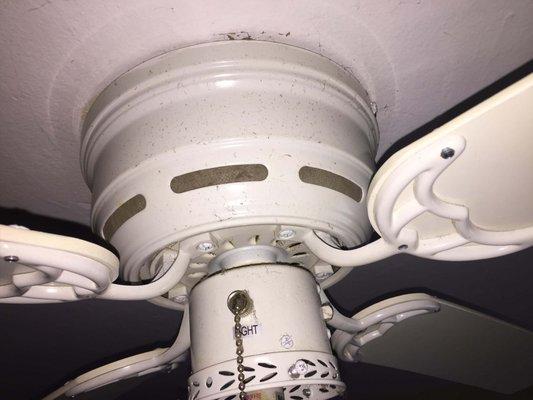 Buffalo's Cleaning Crew