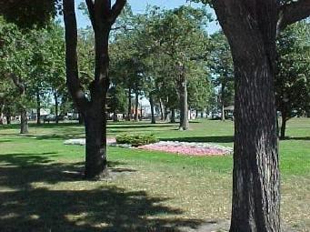 Blue skies and green trees.