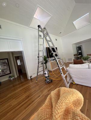 5 Star Pest Services