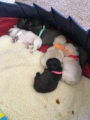 John Day River Veterinary Clinic