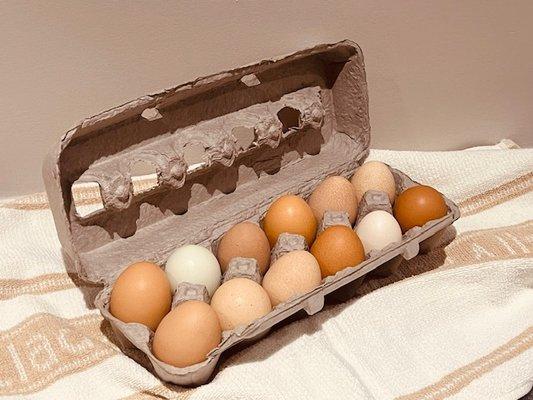 eggs in a carton