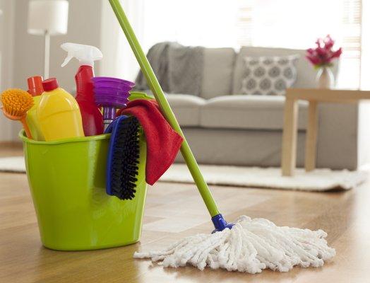 Two Maids and A Mop Cleaning Services
