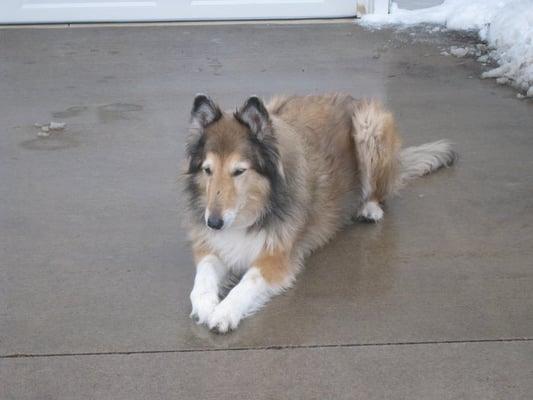 Pet Stop Of The Fox Valley