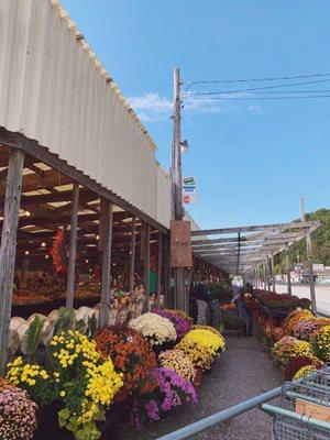 McTighe's Garden Center