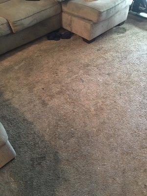 Carpet they refuse to change after years of living here.