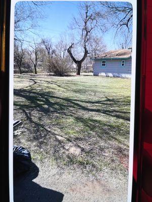 The Lawn RangersMowingService