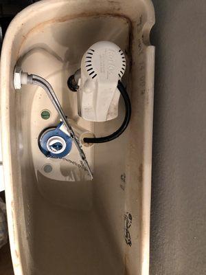 Snazzy Honeydew Handyman Maid Services