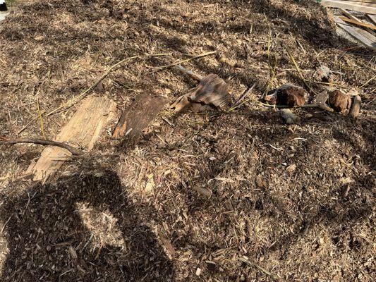 Truckee River Rock & Nursery