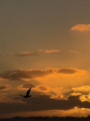 Inn at Spanish Head Resort Hotel