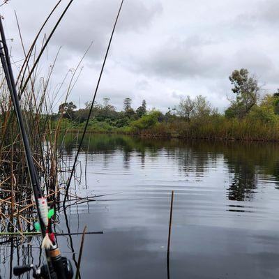 Lake Los Carneros Park