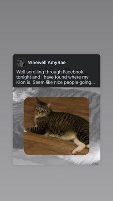 Jefferson County SPCA