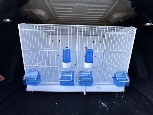 The Canary Finch Store