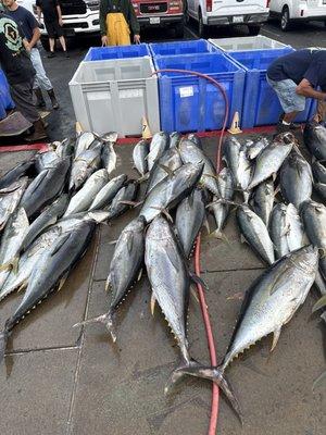 Independence Sportfishing