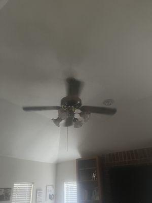 Dog Home Repair Handyman Service