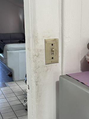 Weekend Tidynest Cleaning Services