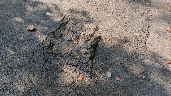 Unique Paving & Masonry