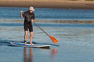 Paddleboard Rentals