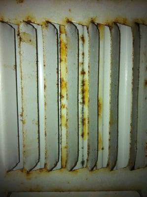 Don Knobler & Company