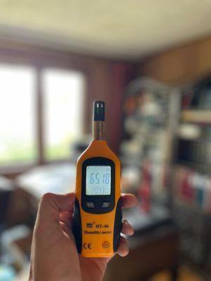 Mold Master Restoration