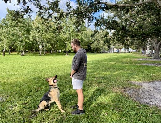 Zack's Pack Dog Training