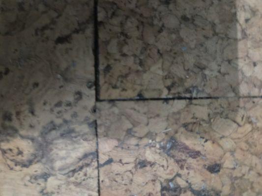 Dillabaugh's Flooring America