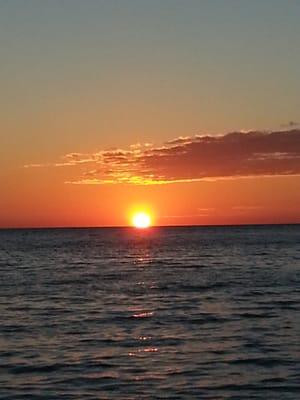 Just Add Water and Sun