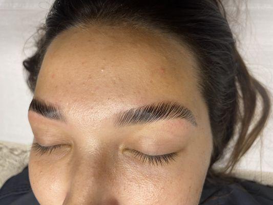 Brow Lamination and Tint